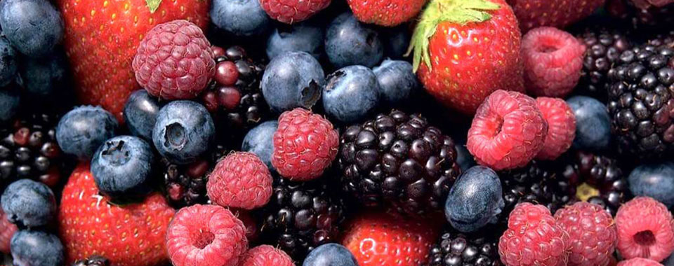 Nutritional Benefits with Berries at St.Lucia Resorts BodyHoliday