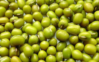 Mung Beans for Healthy Diet at St.Lucia Resorts Holidaying