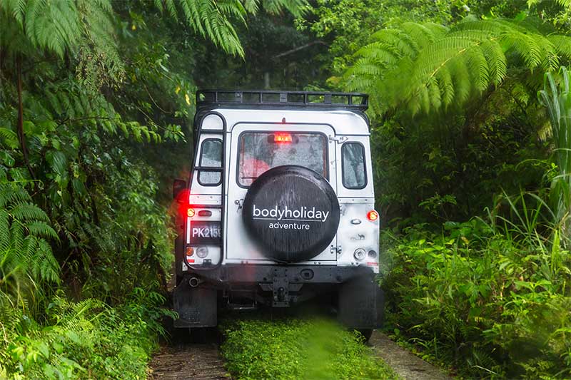 bodyHoliday Landrover in the St Lucian Rainforest